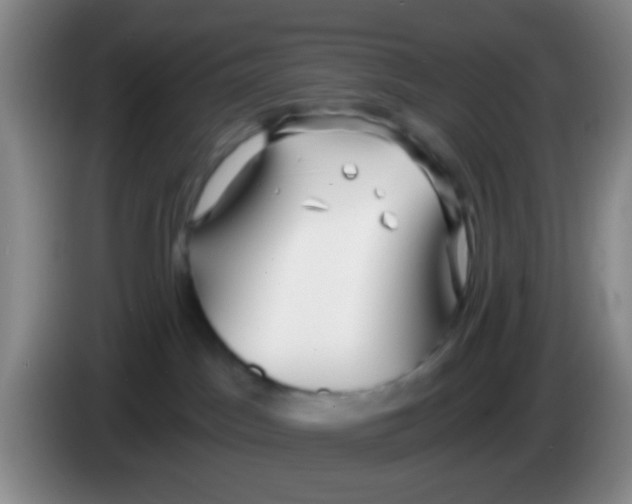 X0000083980045200703091833