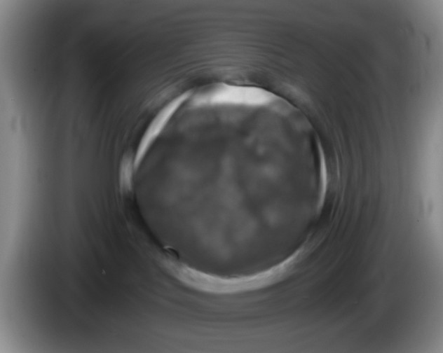 X0000083980047200703091833