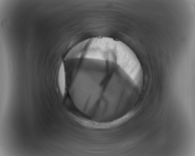 X0000083980048200703091833