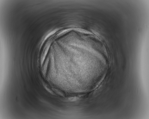 X0000083980050200703091832