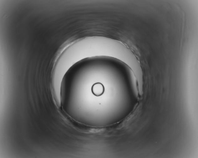 X0000083980051200703091832