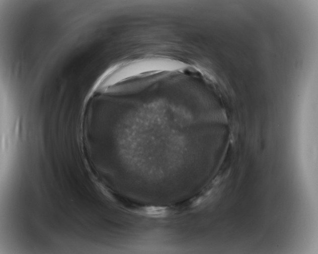 X0000083980052200703091832