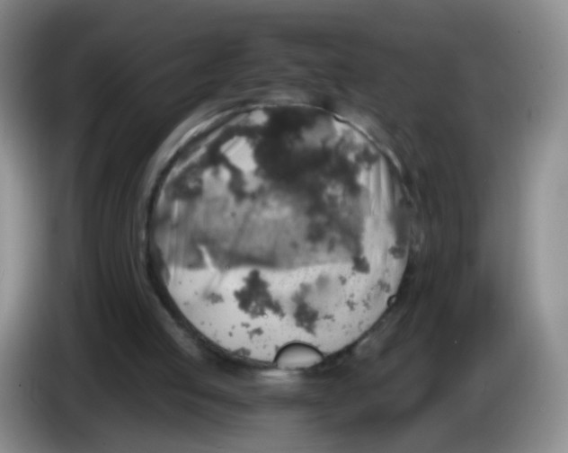 X0000083980053200703091832