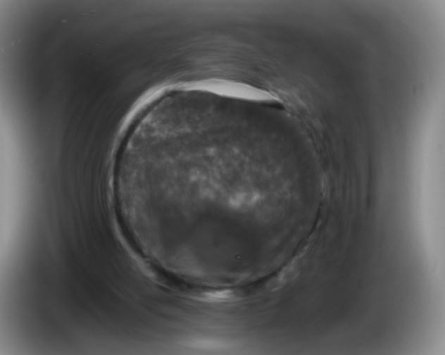 X0000083980054200703091832