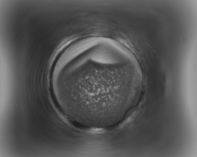 X0000083980055200703091832