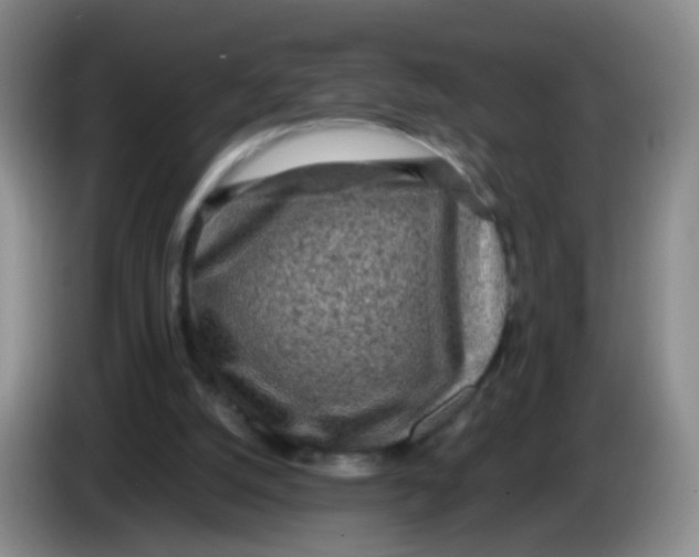 X0000083980056200703091832