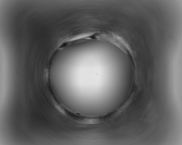 X0000083980057200703091832