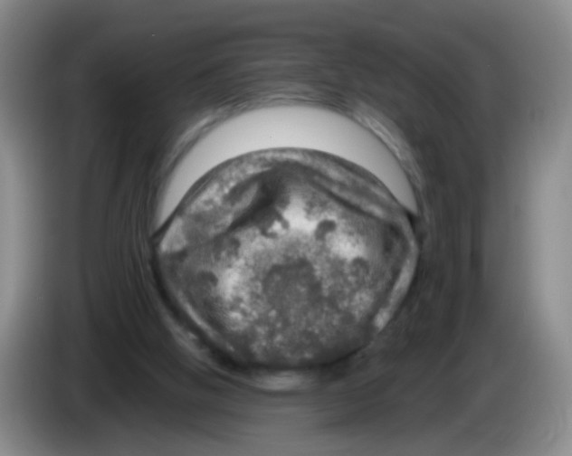 X0000083980058200703091833