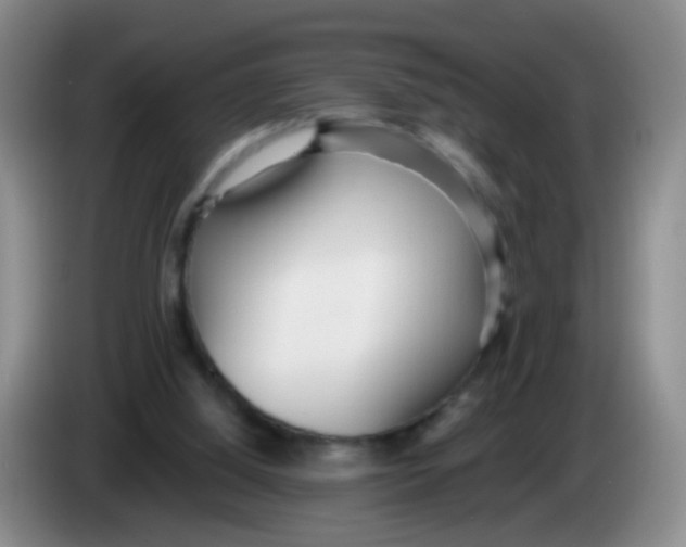 X0000083980060200703091833