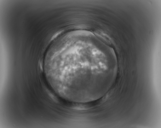 X0000083980062200703091833