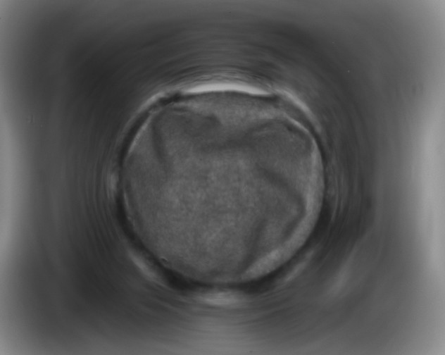 X0000083980063200703091833