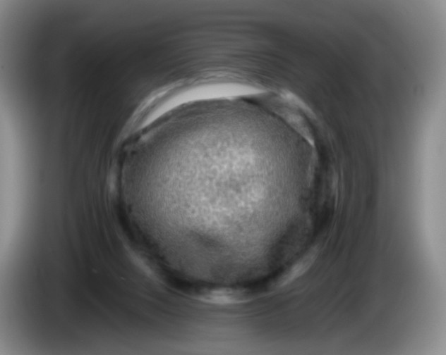 X0000083980064200703091833