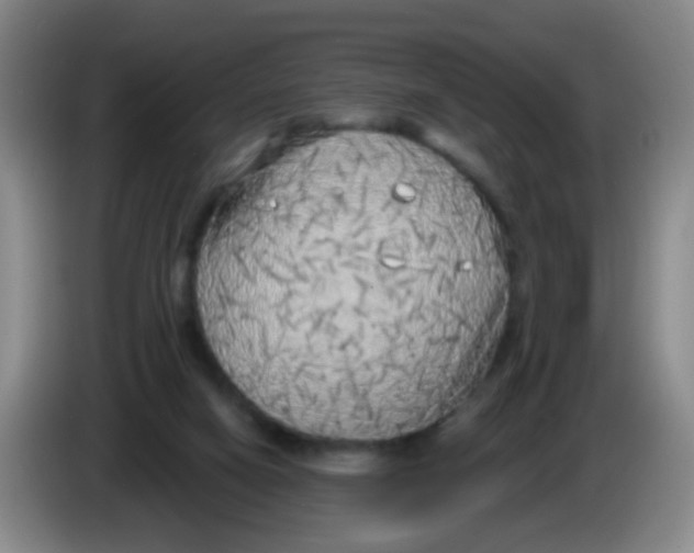 X0000083980066200703091833