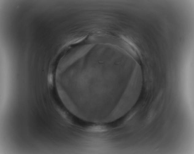 X0000083980067200703091833