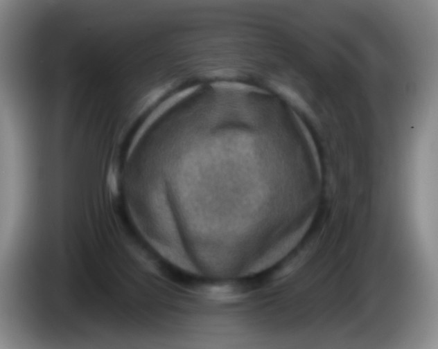 X0000083980068200703091833