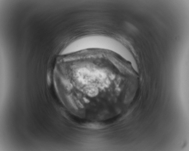 X0000083980069200703091833