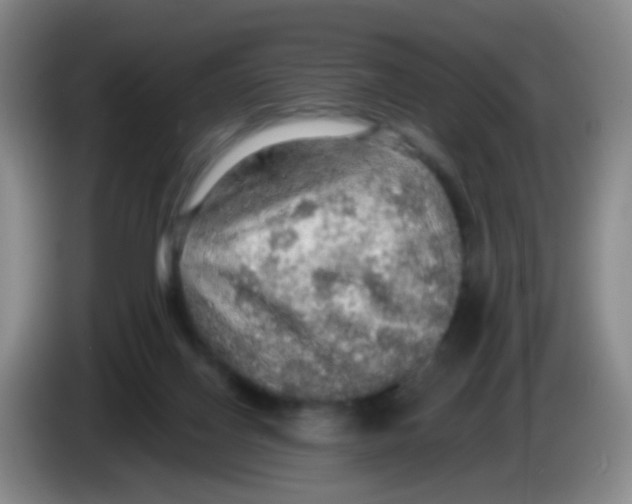 X0000083980070200703091833