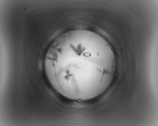 X0000083980071200703091833