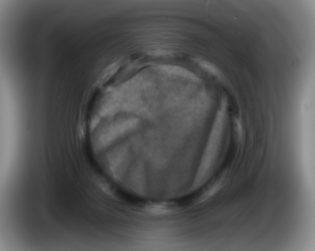 X0000083980072200703091833