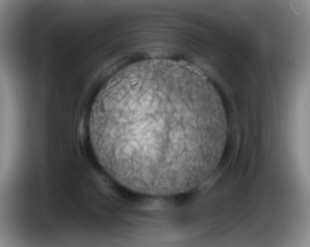 X0000083980074200703091833