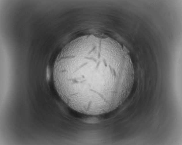 X0000083980075200703091833