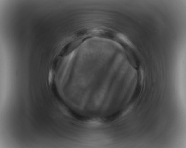 X0000083980076200703091833