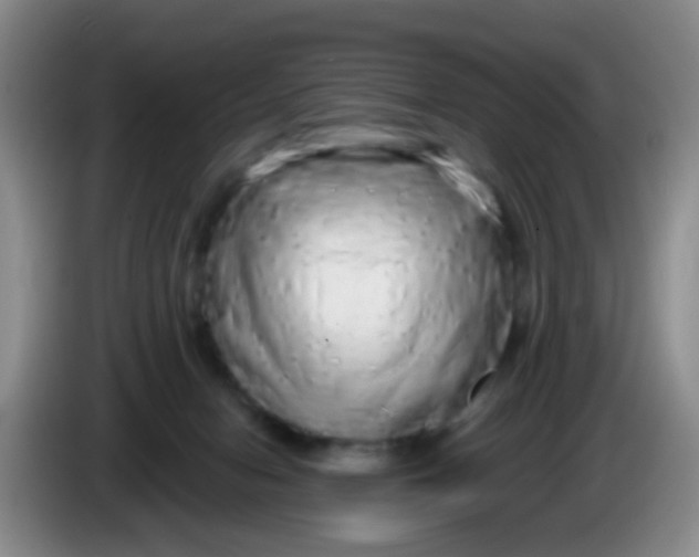 X0000083980078200703091833