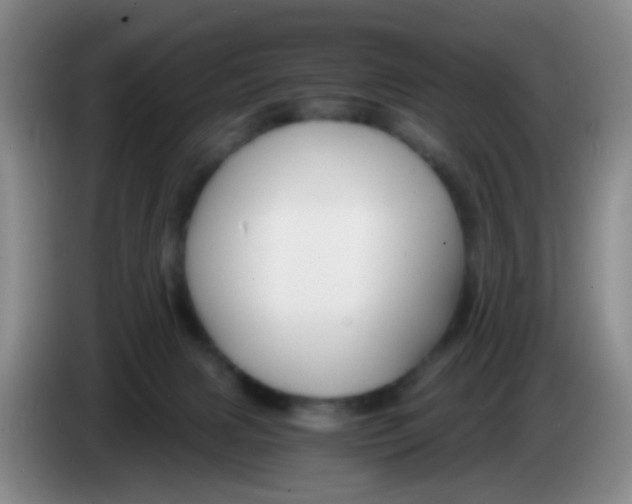 X0000083980079200703091833