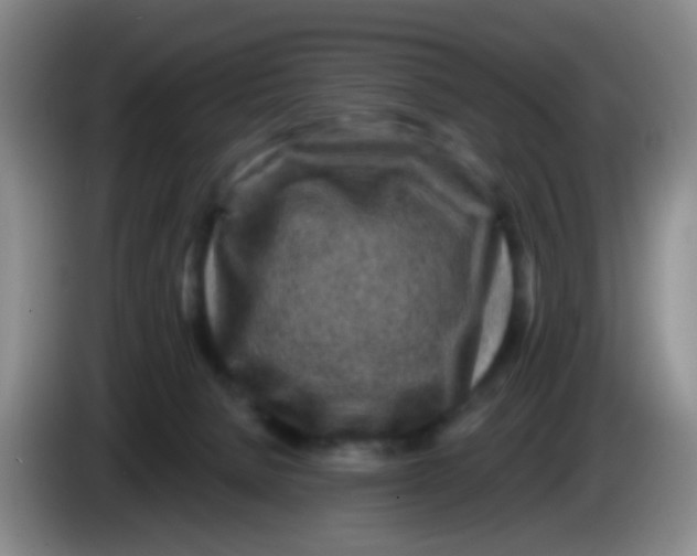 X0000083980080200703091833