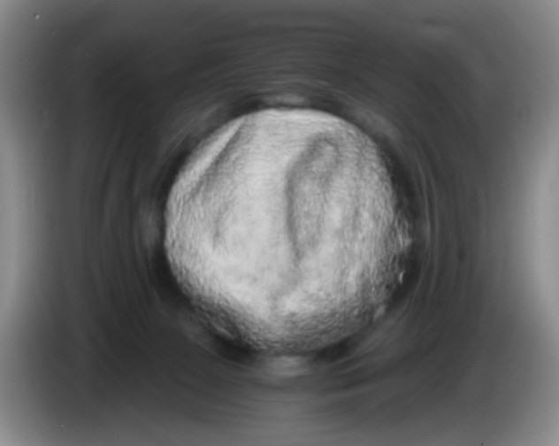 X0000083980081200703091833