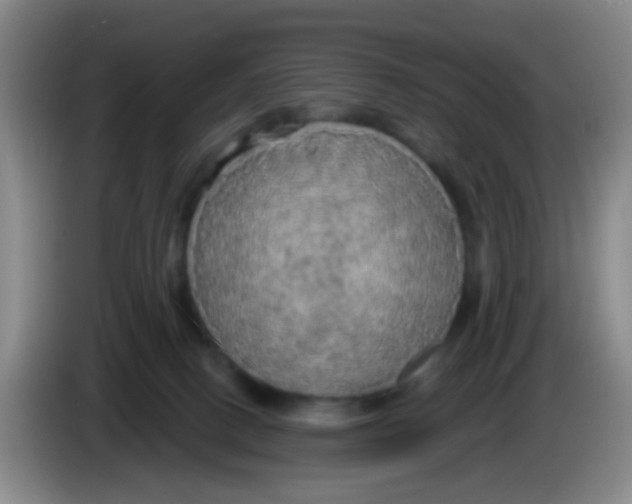 X0000083980082200703091833