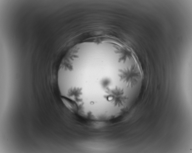 X0000083980085200703091833