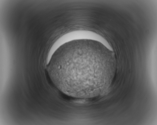 X0000083980086200703091833