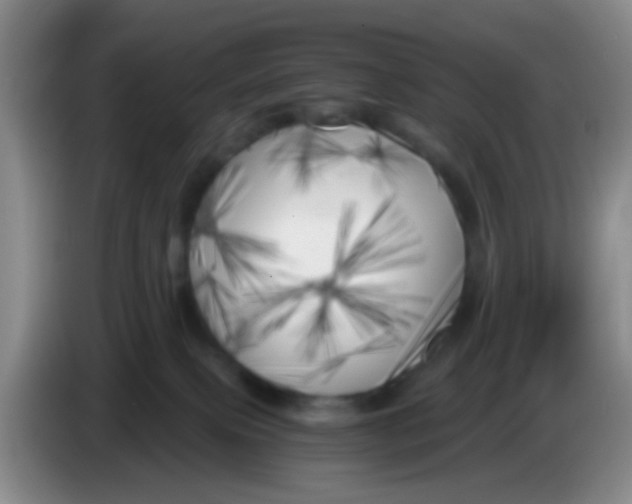 X0000083980087200703091833