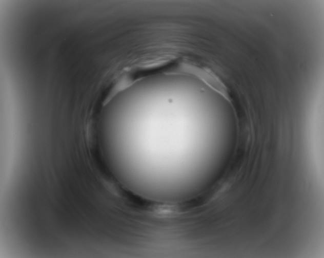 X0000083980088200703091833