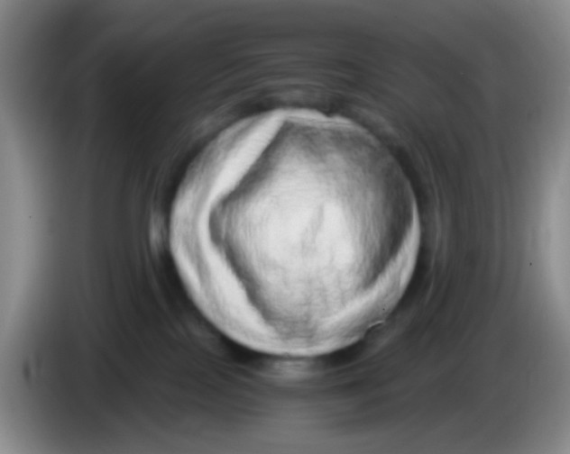 X0000083980089200703091833