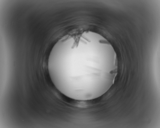 X0000083980091200703091833