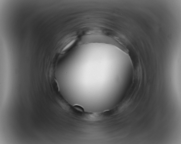 X0000083980092200703091833