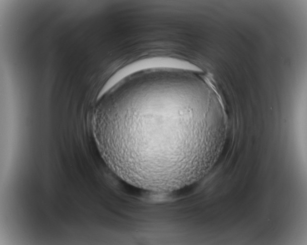 X0000083980093200703091833