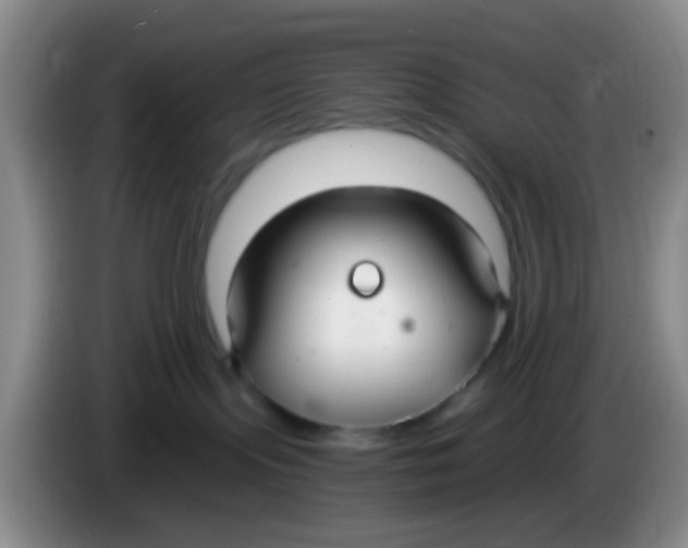 X0000083980095200703091833