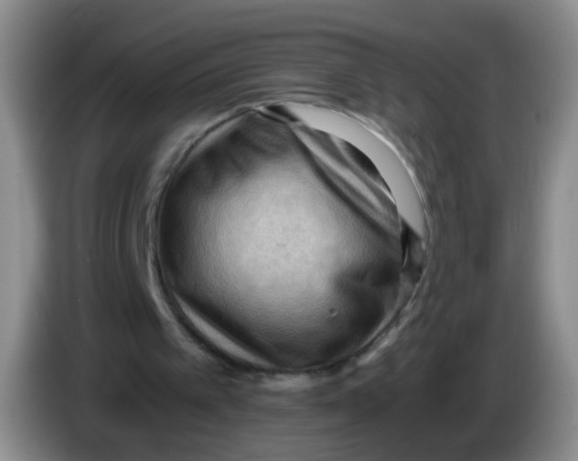 X0000083980097200703091832