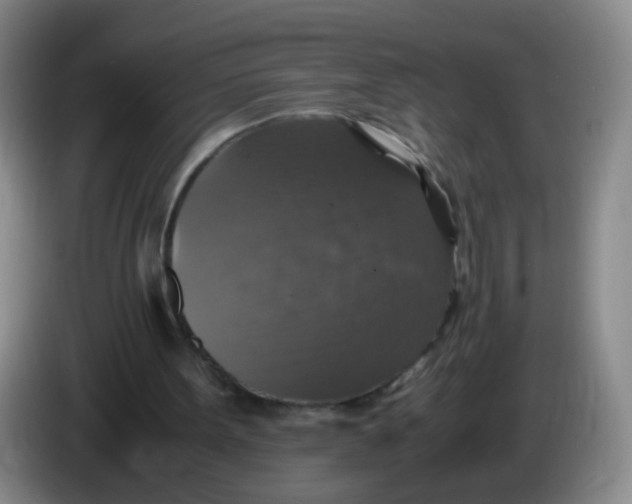 X0000083980099200703091832