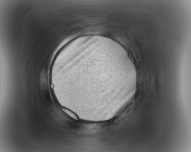 X0000083980100200703091832