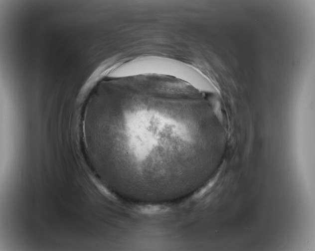 X0000083980101200703091832