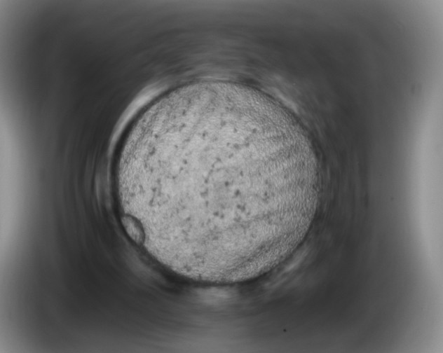 X0000083980102200703091832