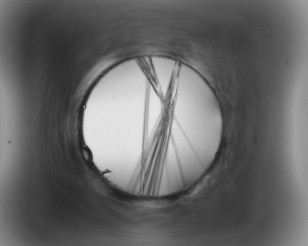 X0000083980103200703091832