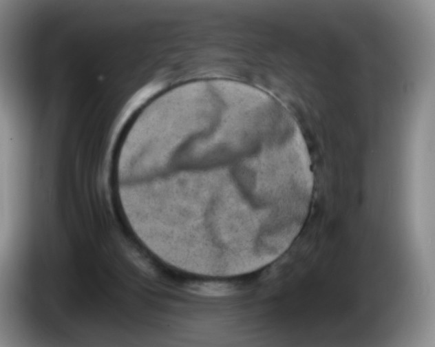 X0000083980104200703091832