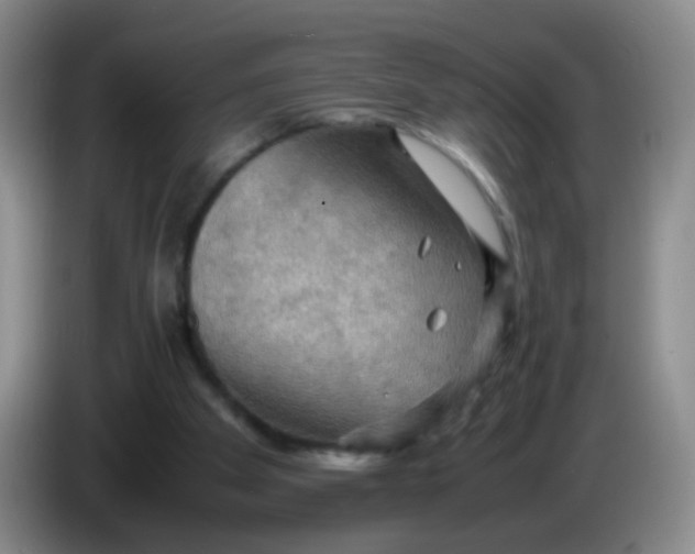 X0000083980105200703091832