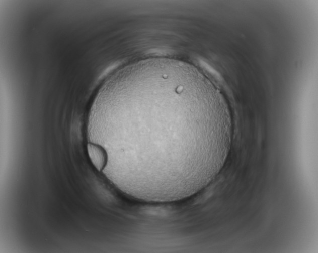 X0000083980106200703091832