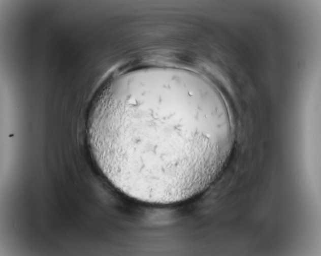 X0000083980107200703091832